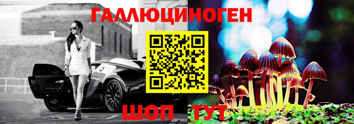 Псилоцибиновые грибы мицелий Усть-Илимск