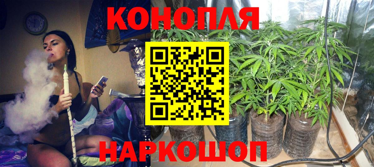 Бошки марихуана тримм Усть-Илимск